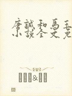 唐诚和马玉婷的小说全文免费