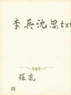 李兵沈思txt