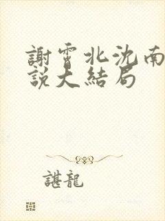 谢霄北沈南意小说大结局封面
