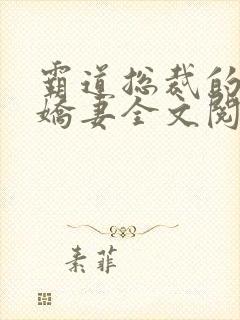 霸道总裁的独宠娇妻全文阅读