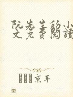 阮先生的小说全文免费阅读无弹窗