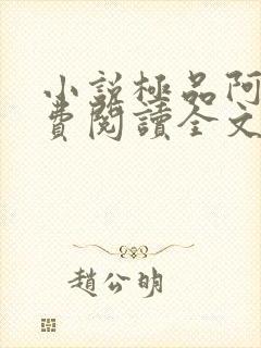 小说极品阿姨免费阅读全文