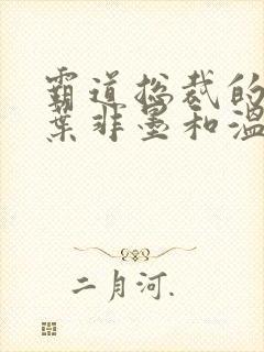 霸道总裁的替身叶非墨和温暖小说封面