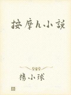 按摩h小说