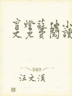 盲灯苏他小说全文免费阅读无弹窗