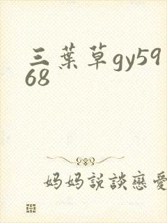 三叶草gy5968