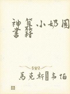 神算小奶团驾到书籍