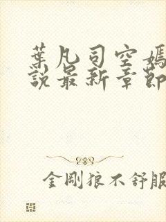 叶凡司空嫣然小说最新章节封面