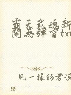 霸天武魂新笔趣阁无弹窗txt