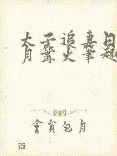 太子追妻日常九月篝火笔趣阁封面