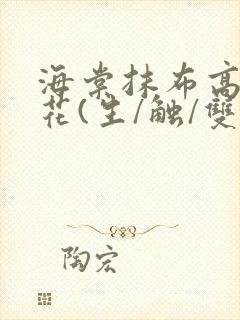 海棠抹布高岭之花(生/触/双)封面