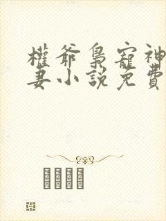 权爷枭宠神秘娇妻小说免费阅读