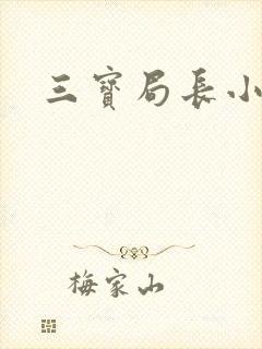 三宝局长小说