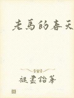 老马的春天敏静封面