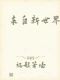 来自新世界小说封面