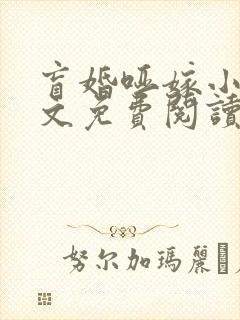 盲婚哑嫁小说全文免费阅读