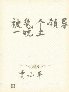 被几个领导玩弄一晚上