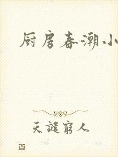 厨房春潮小说