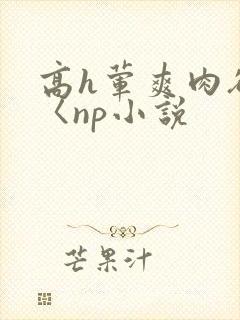高h荤爽肉欲文〈np小说封面