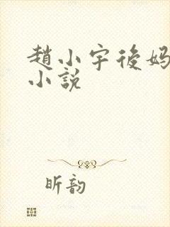 赵小宇后妈晴姨小说
