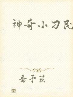 神奇小刁民