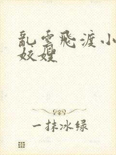 乱云飞渡小说之姣嫂