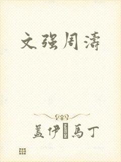 文强周涛
