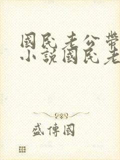 国民老公带回家小说国民老公带回家