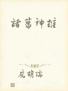 诸葛神推封面