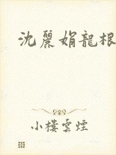 沈丽娟龙根封面