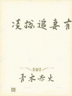 凌总追妻有些甜封面