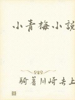 小青梅小说