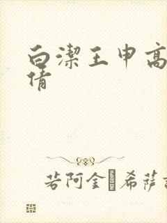 白洁王申高义孙倩封面