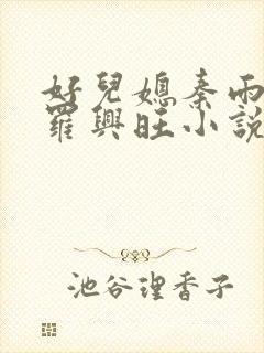 好儿媳秦雨罗明罗兴旺小说