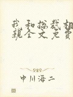 我和总裁相了个亲全文免费阅读