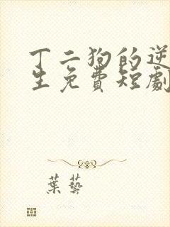 丁二狗的逆袭人生免费短剧封面