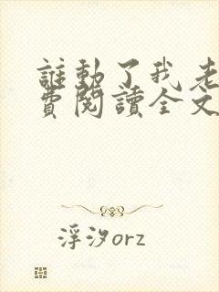 谁动了我老婆免费阅读全文