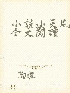 小说小天风流记全文阅读