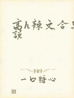 高h辣文合集小说