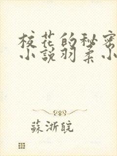 校花的秘密之路小说羽柔小说封面