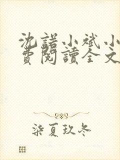 沈诺小斌小说免费阅读全文最新章节
