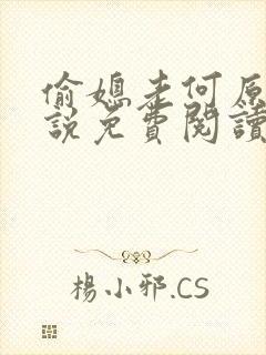 偷媳老何原著小说免费阅读封面
