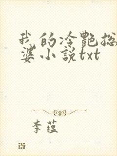 我的冷艳总裁老婆小说txt