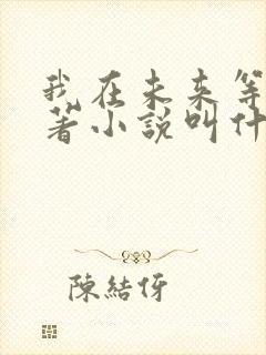 我在未来等你原著小说叫什么