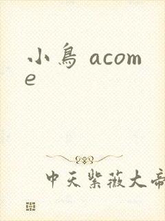 小鸟 acome封面