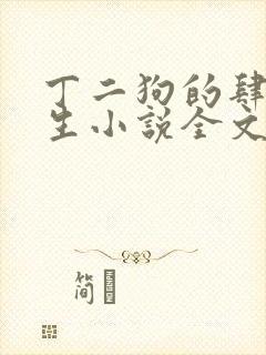 丁二狗的肆意人生小说全文免费阅读笔趣阁封面