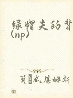 绿帽夫的背德妻(np)封面