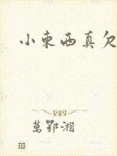 小东西真欠弄封面