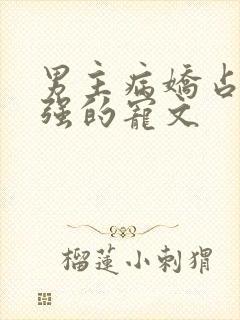 男主病娇占有欲强的宠文封面