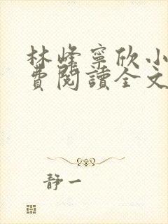 林峰宁欣小说免费阅读全文最新章节封面